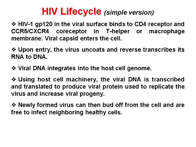 HIV Lifecycle (simple version)  HIV-1 gp120 in the viral surface binds to CD4